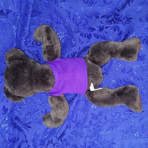 1998-1999 ACS Relay For Life "Mr. Ree" (mystery) Teddy Bear VTG Plush Logo Bear - Picture 6 of 17